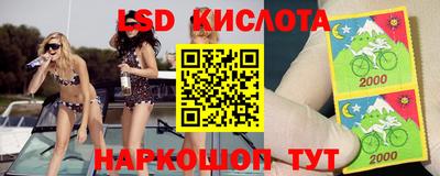 стаф Моздок