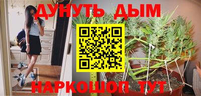 Альфа ПВП Можга