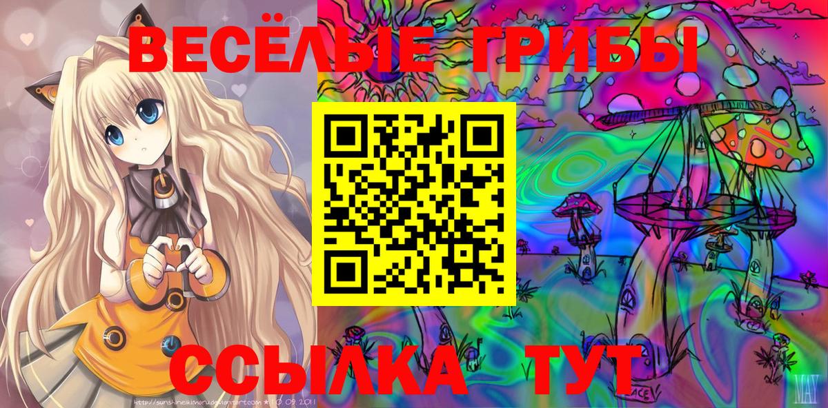 Галлюциногенные грибы Psilocybe  Вход с VPN  Губкин 