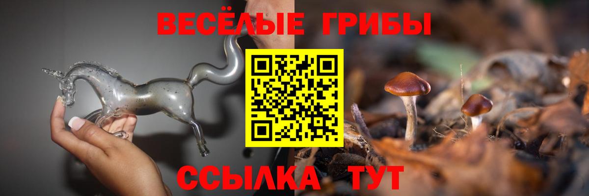 Галлюциногенные грибы ЛСД Губкин