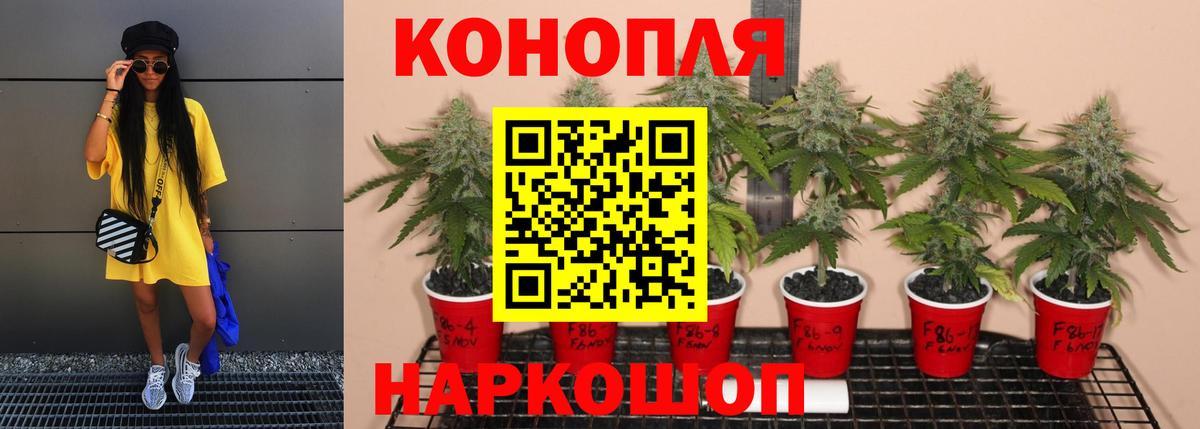 Конопля Amnesia  Канабис THC 21%  Канабис семена  Бошки марихуана VHQ  Губкин  Вход с VPN 